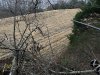 IMG_5561.jpeg