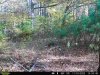 6909dc0e-bd8e-4008-8c07-540ee833bca2.jpeg