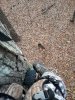20231118_164644.jpeg