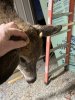 IMG_0037.jpeg