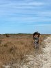 IMG_7297.jpeg