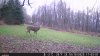 DSCF0009.JPG