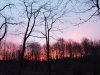 20231121_065306.jpg