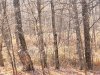 20231124_145245.jpg