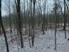 Image1700915644.773061.jpg