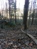 IMG_20231125_145536.jpg
