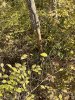 IMG_5672.jpeg