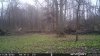 IMG_5694.jpeg
