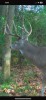 IMG_5722.png