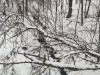 20231129_153659.jpg