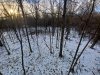 20231130_151214.jpg