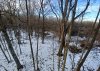20231130_151219.jpg
