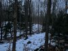Image1701432485.858341.jpg
