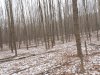 20240215_134048.jpg