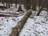 20240216_114626.jpg