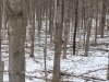 20240216_114047.jpg