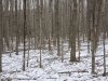 20240216_113532.jpg