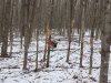 20240216_113528.jpg