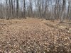 IMG_2475.jpeg