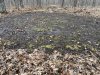 IMG_2481.jpeg