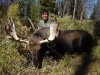 moose2.jpg