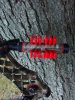 uploadfromtaptalk1350181477716.jpg