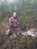deer2012.jpg