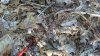 2012-10-13_09-14-56_316.jpg