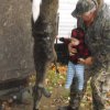 gpa deer.jpg