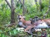 10.6.12 buck 1.jpg
