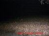 MDGC0111.jpg