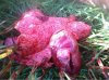 ImageUploadedByTapatalk1351392867.801126.jpg