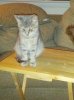 IMG_20121021_194041.jpg