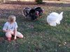 IMG_20121022_170226.jpg