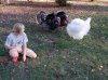 IMG_20121022_170229.jpg