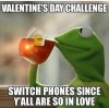 IMG_2256.jpeg