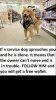 IMG_2319.jpeg