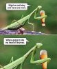IMG_2386.jpeg