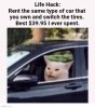 IMG_2387.jpeg