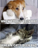 upload_2025-3-11_20-12-33.png