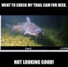 IMG_2525.jpeg