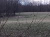 20250408_194546.jpg