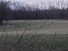 20250408_194540.jpg