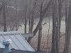20250409_062410.jpg
