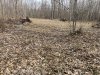 IMG_3451.jpeg