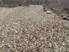 IMG_3454.jpeg