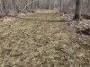 IMG_3455.jpeg