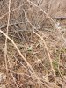 20250415_133841.jpg