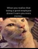 IMG_2695.jpeg