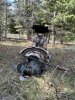 first turkey.JPG